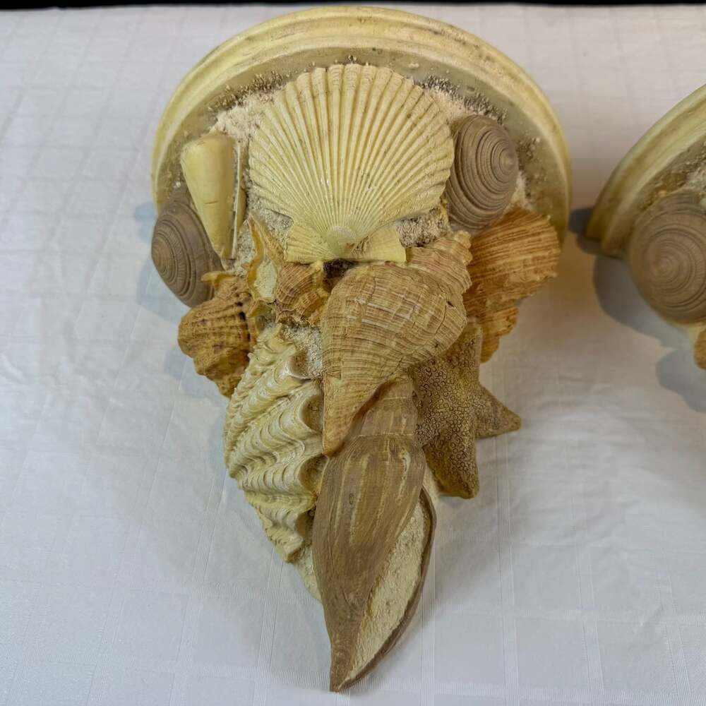 Coastal Seashell resin Wall Mounted shelves Set of 2 Beige/Brown * - Picture 8 of 12